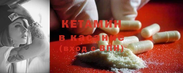 шишки Горняк