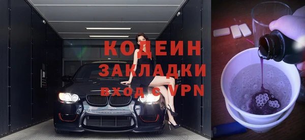 шишки Горняк