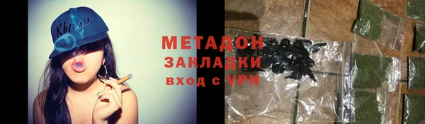 шишки Горняк