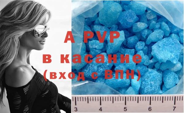 шишки Горняк