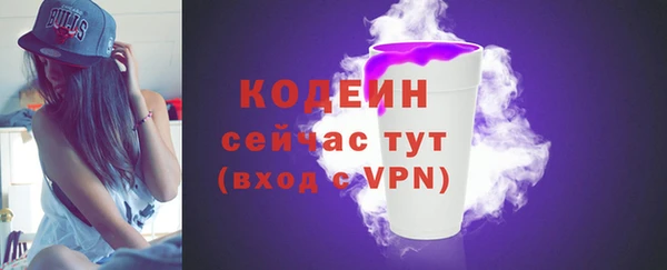 шишки Горняк