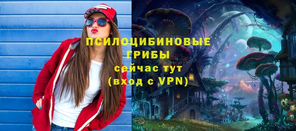шишки Горняк