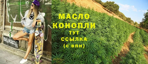 шишки Горняк
