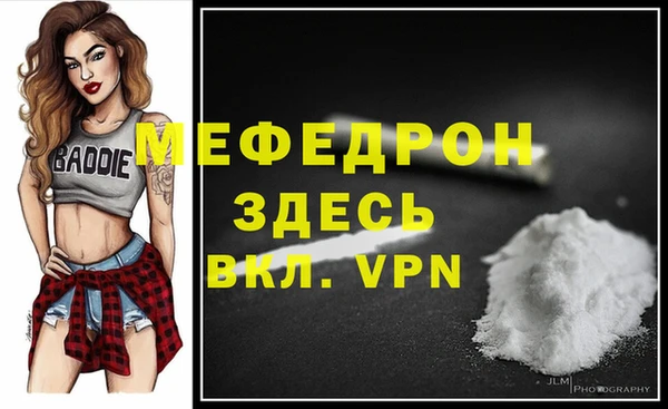 шишки Горняк