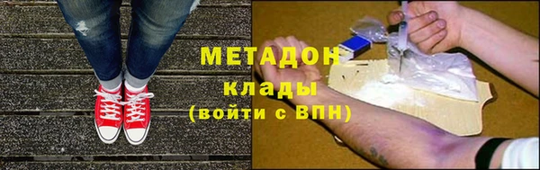 шишки Горняк