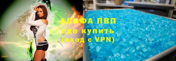 шишки Горняк
