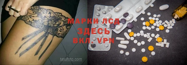 шишки Горняк