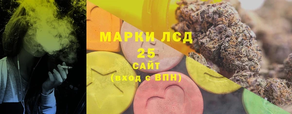 шишки Горняк