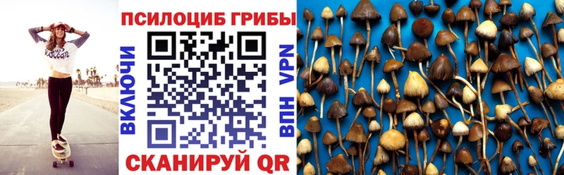 Купить  Нерюнгри  Псилоцибиновые грибы Psilocybine cubensis 
