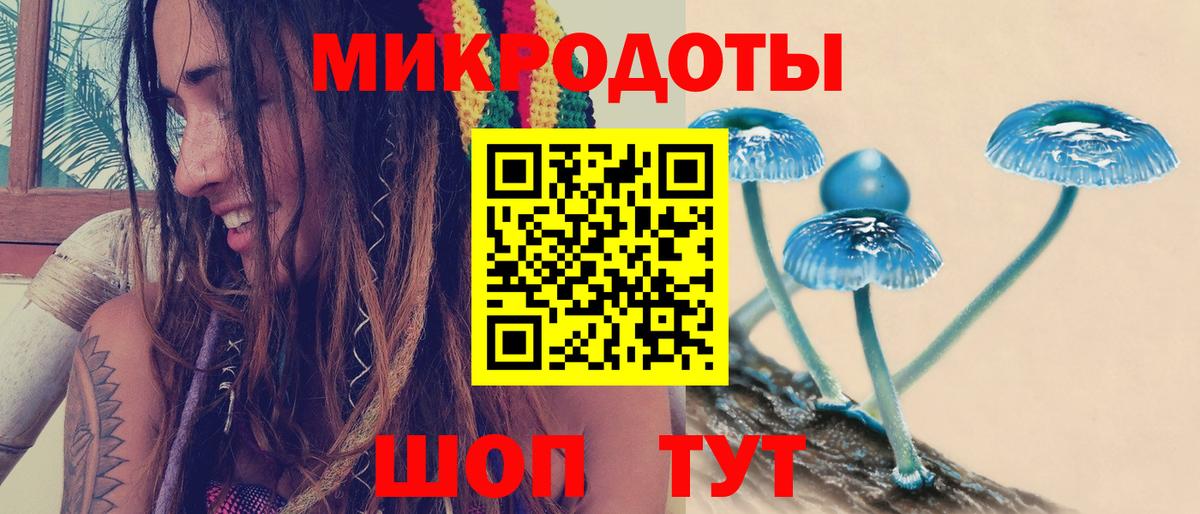 даркнет сайт  Нерюнгри  Псилоцибиновые грибы мицелий 