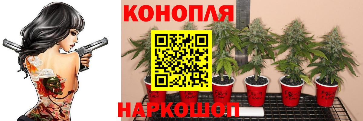 Меф   Канабис  Меф МЯУ МЯУ   Alpha-PVP СК кристаллы  Гашиш  Кодеин  Нерюнгри  COCAIN 